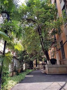 Kunming - Universite du Yunnan (64)